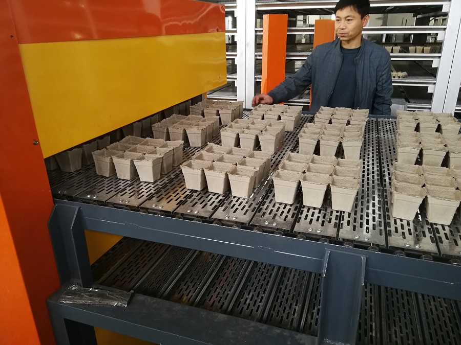 ���͑�ӆُ���{���籭�O��