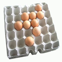 ���ЙC(j��)